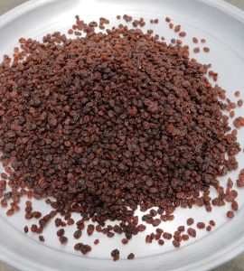 کشمش پلویی اعلا